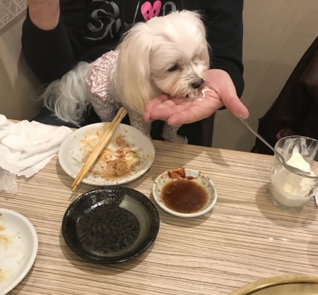 b0193480_14382987.jpeg