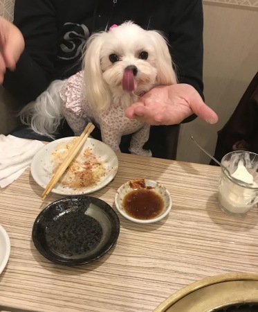 b0193480_14384645.jpeg