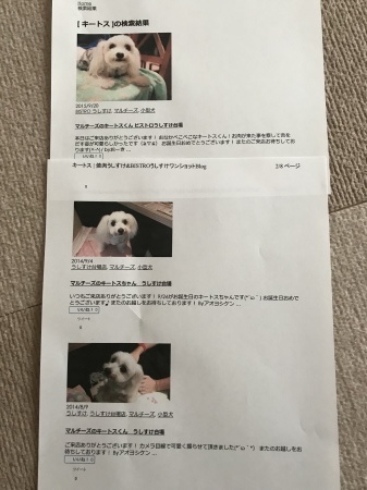 b0193480_15043655.jpeg