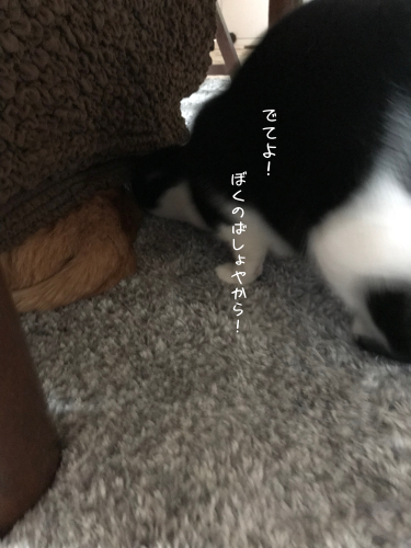 a0216583_12574260.png