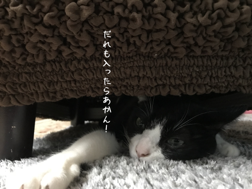 a0216583_12575969.png