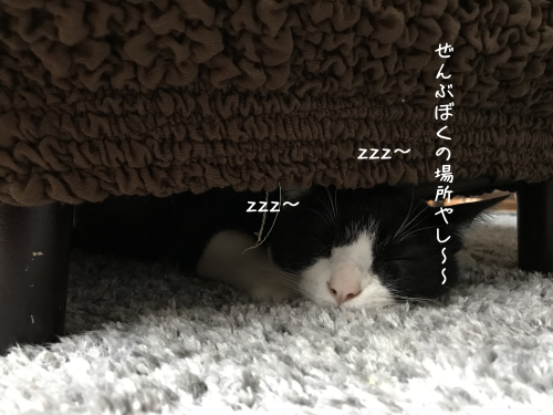 a0216583_12580770.png