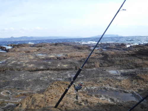 d0174683_01253927.jpeg