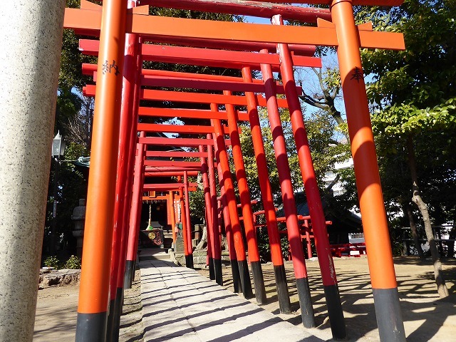 一粒萬倍の泉でお金を洗ってきた♪品川神社は富士塚のご利益も♪冬散歩2月_b0287088_09305815.jpg