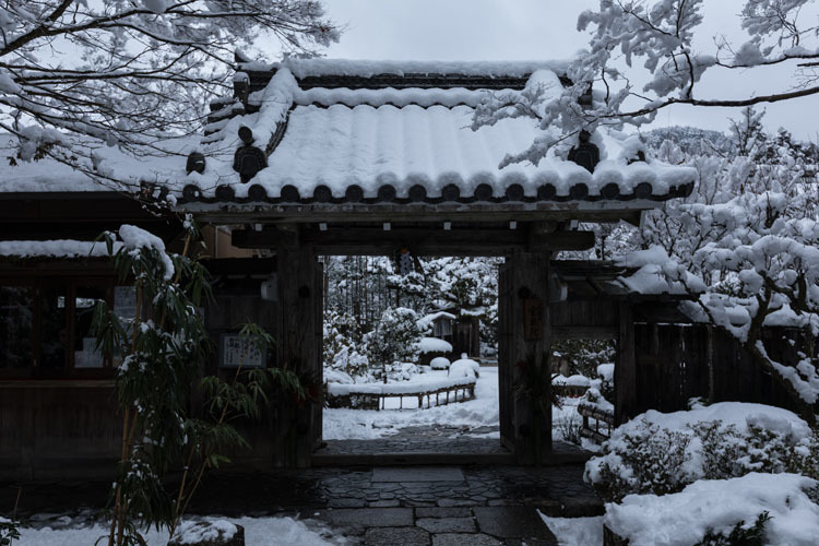 宝泉院_e0051888_18051956.jpg