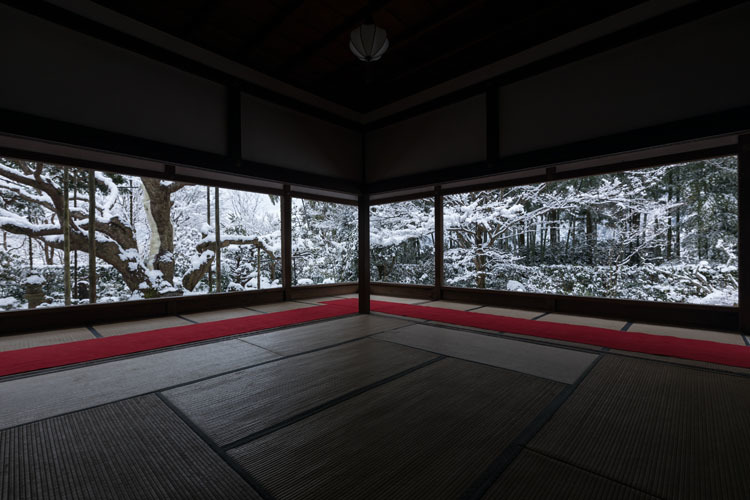 宝泉院_e0051888_18061005.jpg