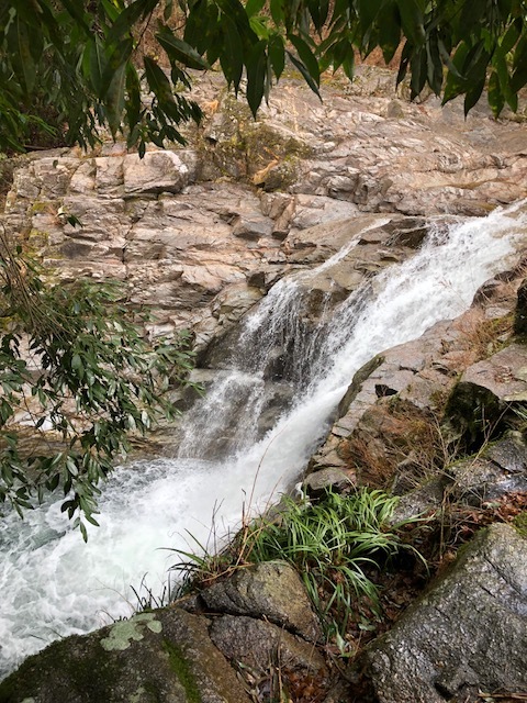 e0094589_19473797.jpg