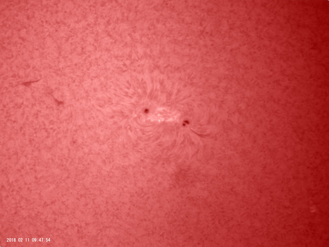 2月11日の太陽_e0174091_12375294.jpg