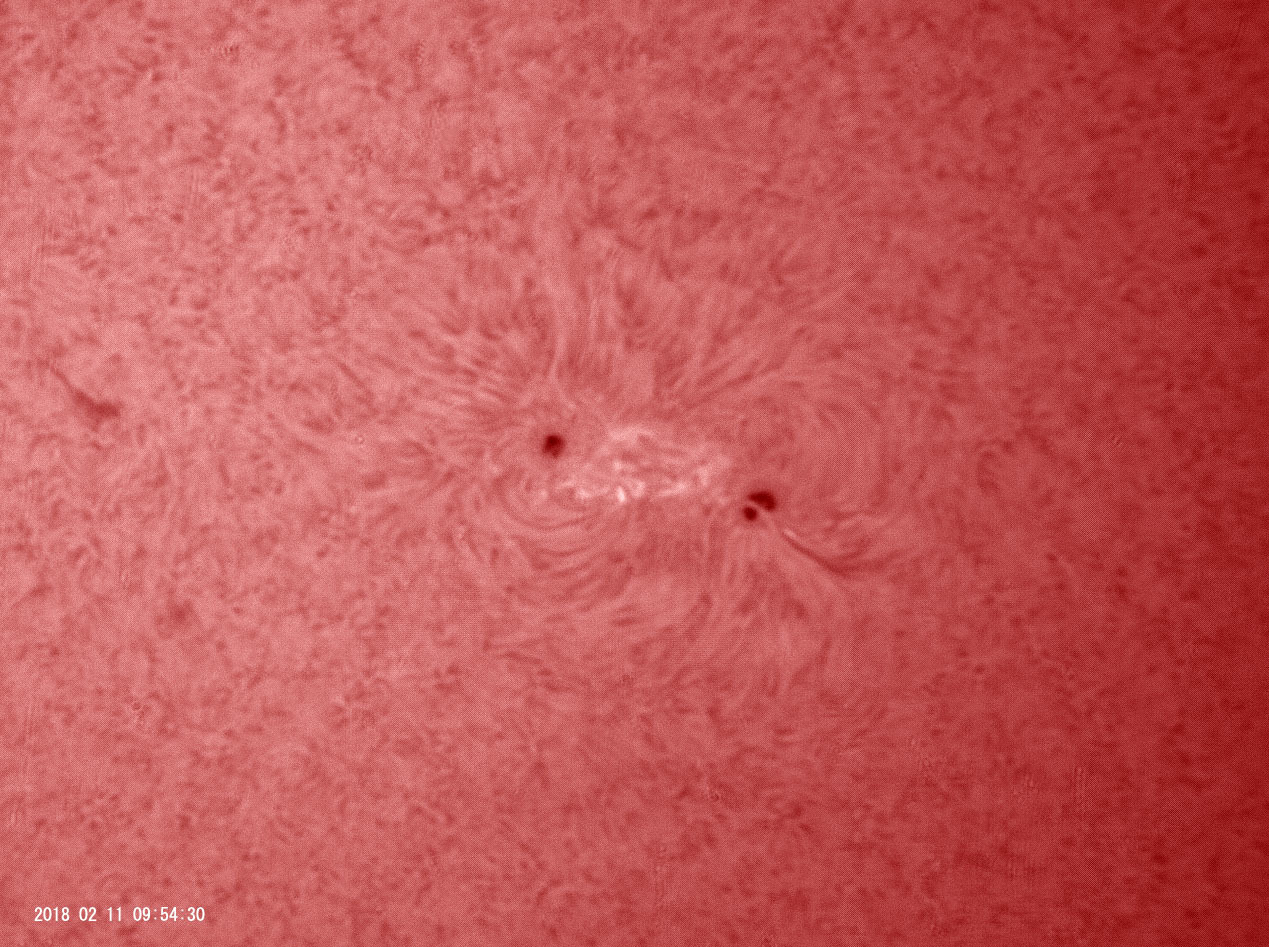 2月11日の太陽_e0174091_12380376.jpg