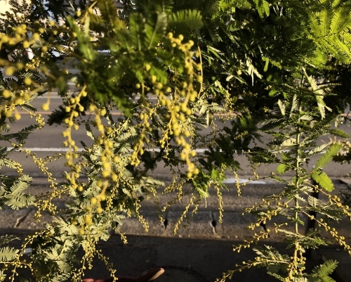 f0215094_16424594.jpeg