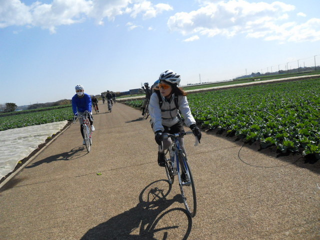 f0326399_17321333.jpg