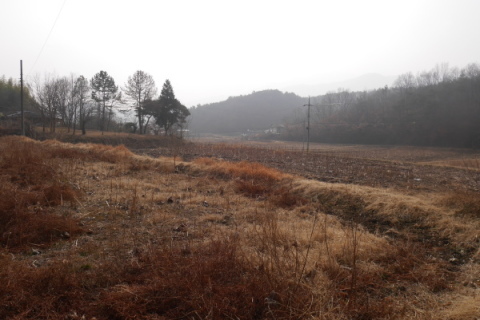 a0140305_01514666.jpg