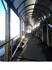 d0009105_1545499.jpg
