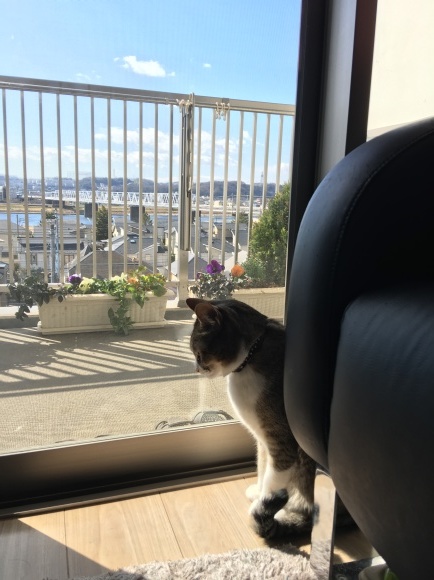 c0109109_14043062.jpeg