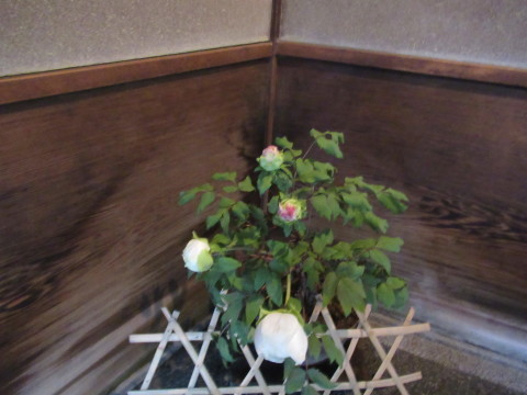 d0019916_07421851.jpg