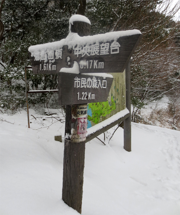 ■「犬は歓び庭駆け回り…」風の積雪油山行_d0190217_17481640.jpg