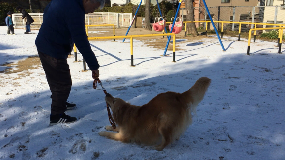 雪だ〜〜っ！_a0098418_14332062.jpg