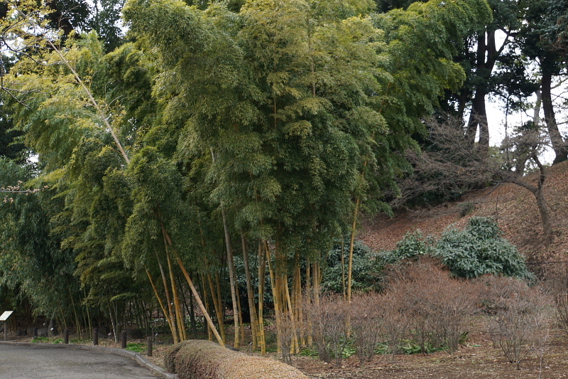 a0105819_12304179.jpg