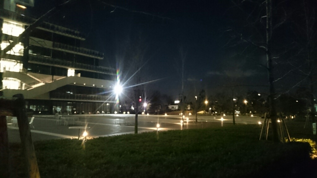 b0339522_16204487.jpg