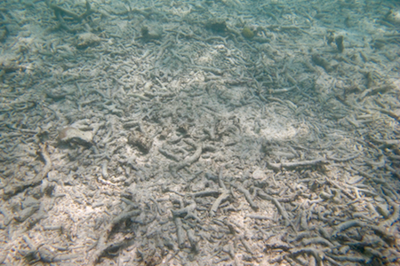 e0387424_18250285.jpg