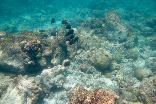e0387424_18251449.jpg