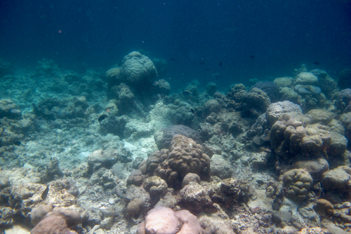 e0387424_18251492.jpg