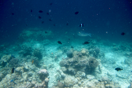 e0387424_18251635.jpg