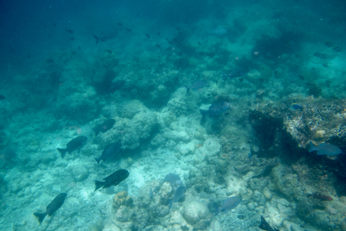e0387424_18252571.jpg