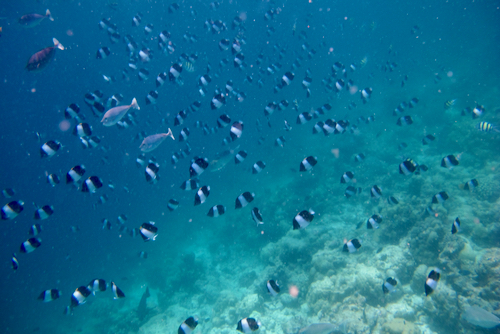 e0387424_18252580.jpg