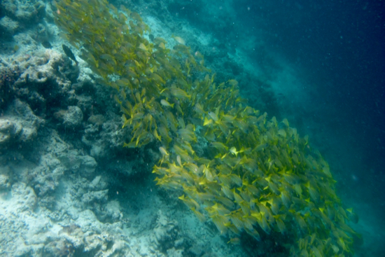 e0387424_18441212.jpg