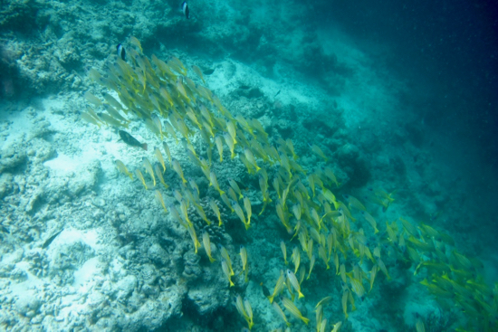 e0387424_18441350.jpg