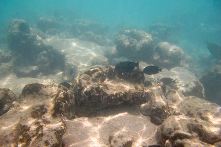 e0387424_18441394.jpg