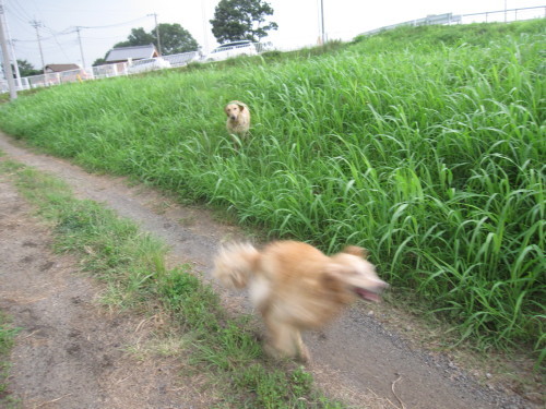 e0350927_10130722.jpg