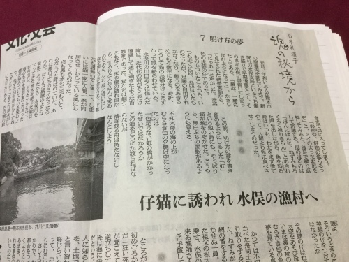 d0289139_07375908.jpeg