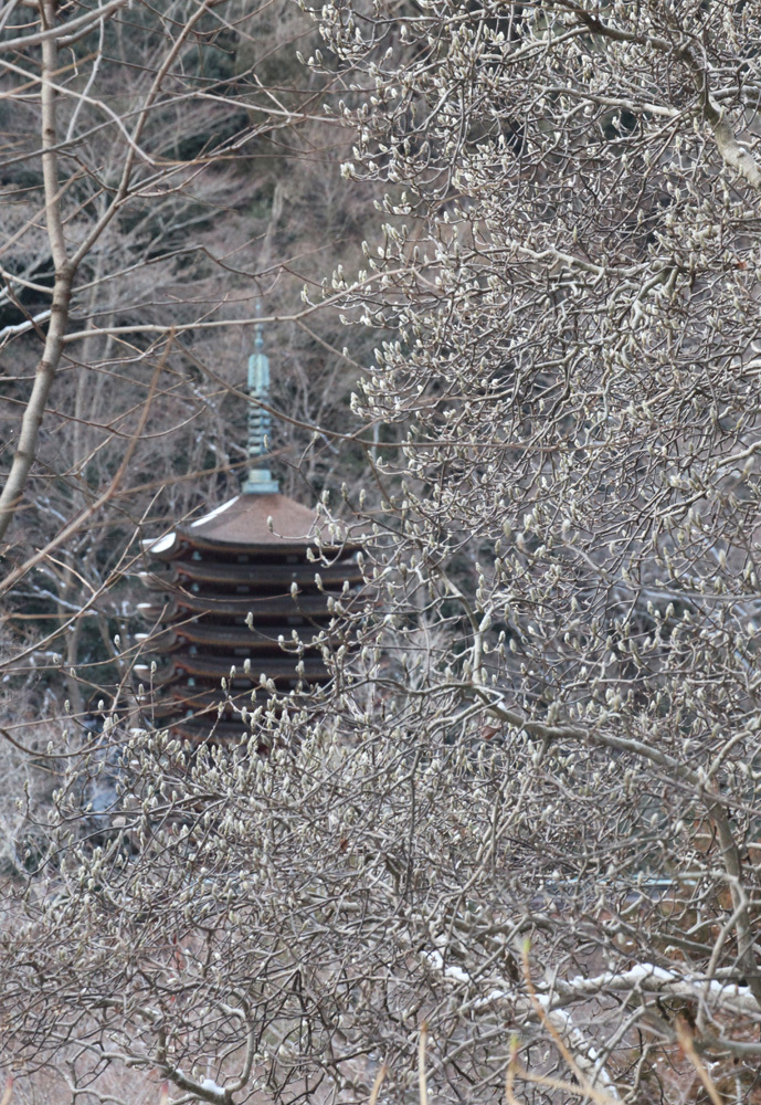 桜井市　談山神社　遠望　雪景色_c0108146_21163346.jpg