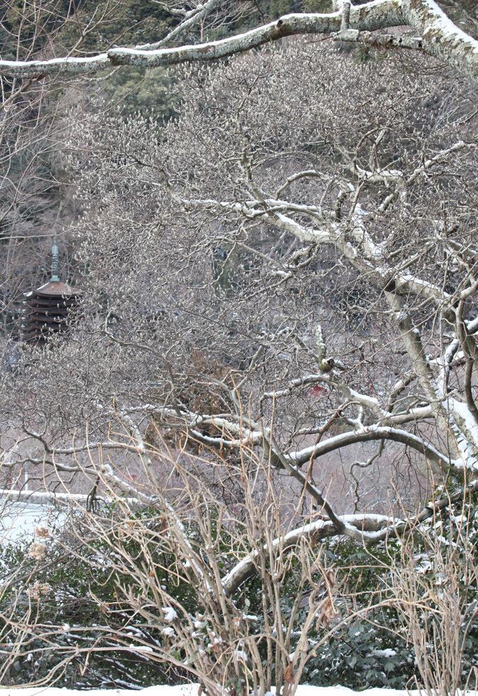 桜井市　談山神社　遠望　雪景色_c0108146_21170135.jpg