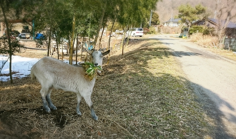 2/10(土)那須いなか村オートキャンプ_c0388146_09563350.jpg