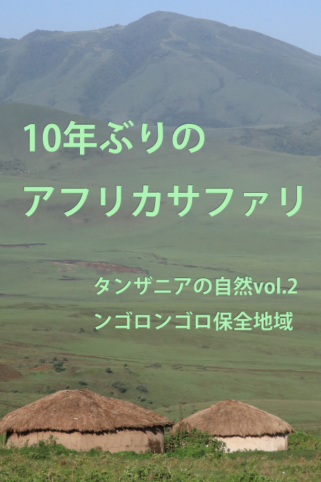 タンザニアの自然vol 2 ンゴロンゴロ保全地域 還暦からのネイチャーフォト タンザニアの自然vol 2 ンゴロンゴロ保全地域 還暦からのネイチャーフォト