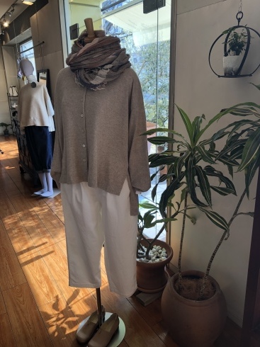 春夏の靴受注会_f0328051_21174855.jpeg