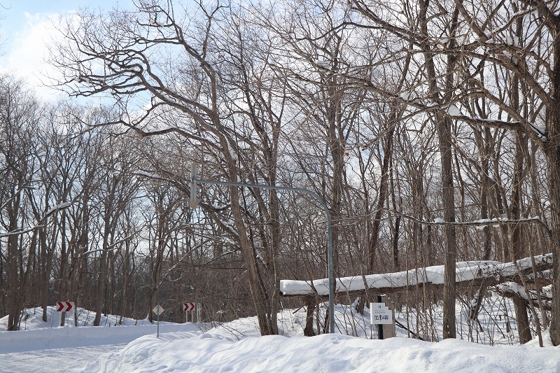 b0250154_22310548.jpg