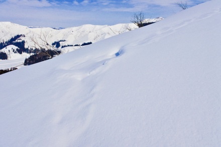 a0346455_21124119.jpeg