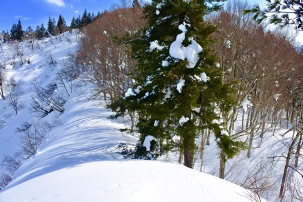 a0346455_21541064.jpeg