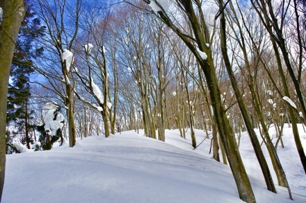 a0346455_21543660.jpeg