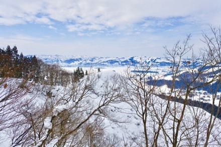 a0346455_22041048.jpeg