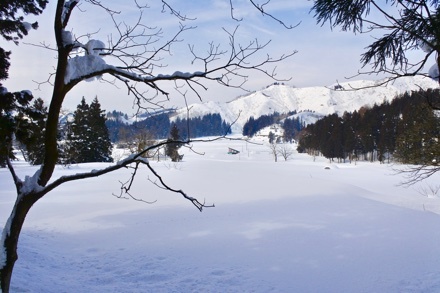 a0346455_22070776.jpeg