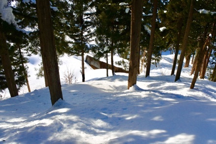a0346455_22131142.jpeg
