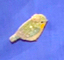 d0178257_01282742.jpg