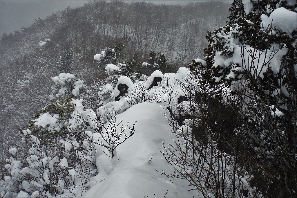 蘭山（あららぎ山）里山を楽しく登る_c0294658_18324953.jpg