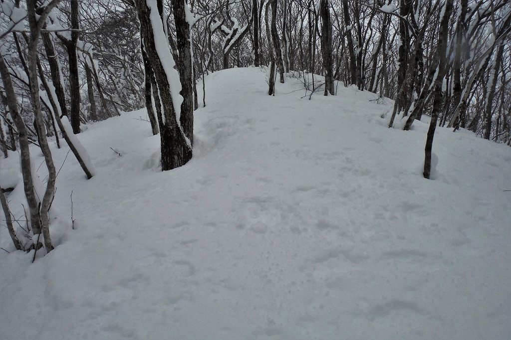 蘭山（あららぎ山）里山を楽しく登る_c0294658_19132578.jpg