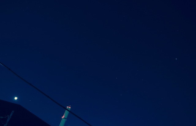 a0248459_15154776.jpg
